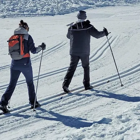 Дом отдыха Maison De Vacance La Cavaliere Accous